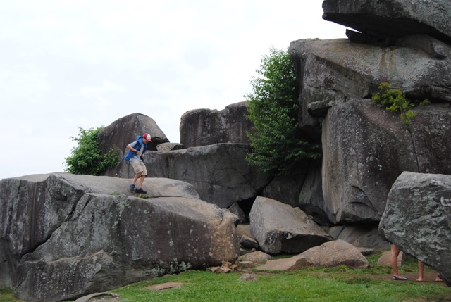 DSC_0170.jpg