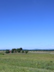 IMG_0594.jpg